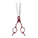 pet-grooming-5-2-1200x1200.webp