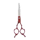 pet-grooming-5.webp