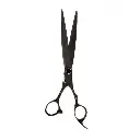 pet-grooming-7-1-1200x1200.webp