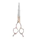 pet-grooming-1-1.webp