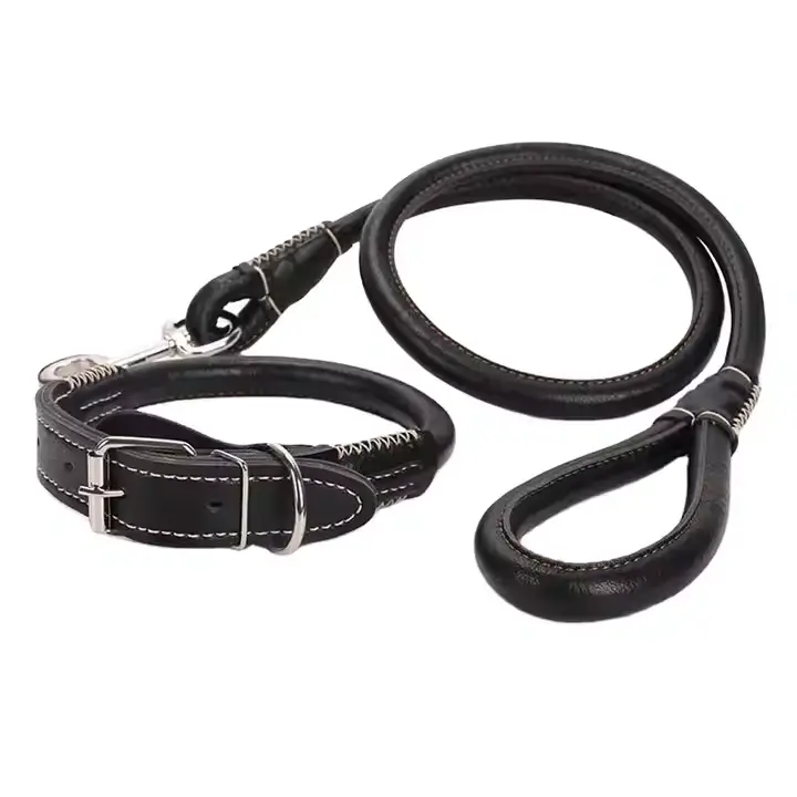 Dog Collar And Lead Heavy Duty Best Supplier Different Design Wholesale Rate Make Own Dog Collar And Lead