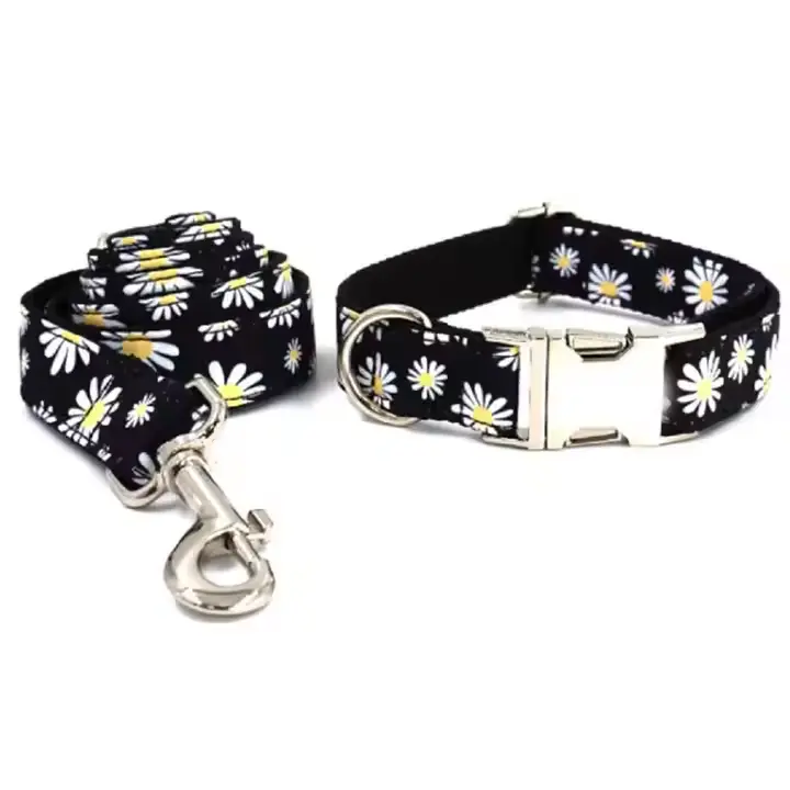 Dog Collar And Lead Custom Puppy Adjustable Buckle Strong Black Daisy Flower Basic Collars Lead Set