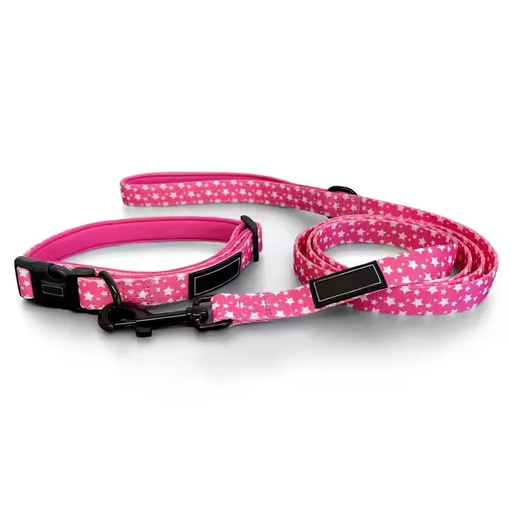 Dog Collar And Lead Customized Logo Print New Arrival Make Your Own Dog Collar And Lead Sets