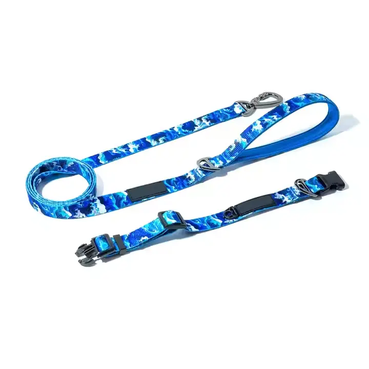 Dog Collar And Lead Wholesale Rate Customized Made Blue And White Contrast Color Dog Collar And Lead 