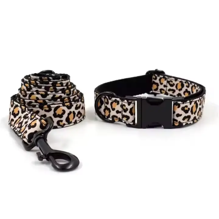 Dog Collar And Lead Hand Made Highland Quality Custom Made Unique Design Dog Collar And Collar
