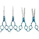 BLUE ASIAN FUSION GROOMING KIT