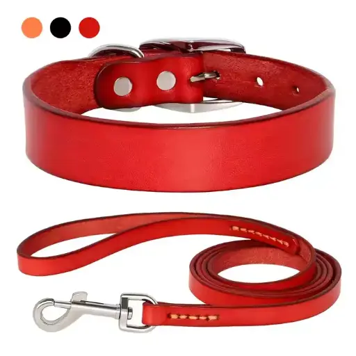 Dog Collar And Lead Adjustable Durable Pet Collars With Leashes For Small Medium Large Dogs