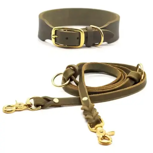 Dog Collar And Lead Sets Olive Color Good Selling Best Seller New Arrival Product Dog Collar And Lead