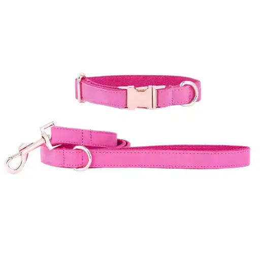 Dog Collar And Lead OEM Service Comfortable Nylon Leather Material Customized Made Dog Collar And Lead Set