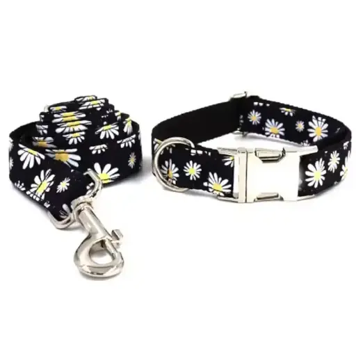 Dog Collar And Lead Custom Puppy Adjustable Buckle Strong Black Daisy Flower Basic Collars Lead Set