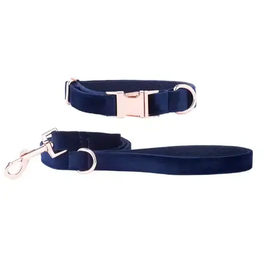 Dog Collar And Lead In One Solid Color Made In Pakistan New Arrival Fully Customized Nylon With Buckle