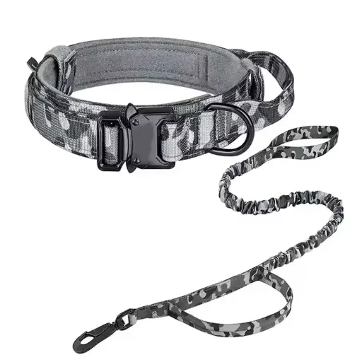 Dog Collar And Lead Good Selling OEM Service New Arrival Product Latest Style Dog Collar And Lead