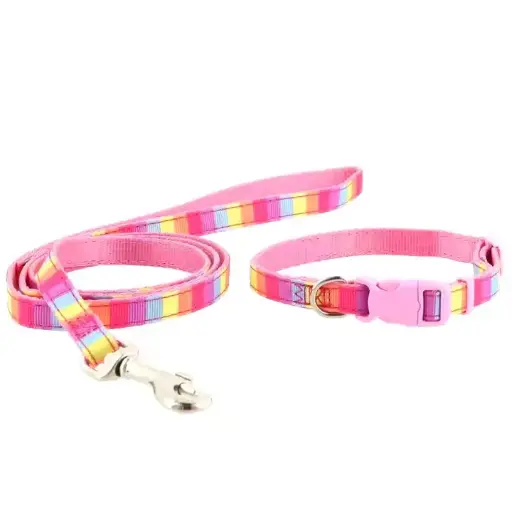 Dog Collar And Lead Nylon Material Top Seller Best Supplier OEM Pink Rainbow Puppy Collar & Lead Set 