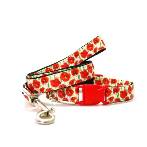 Dog Collar And Lead Best Supplier Customized Made With Own Premium Quality Dog Collar And Lead